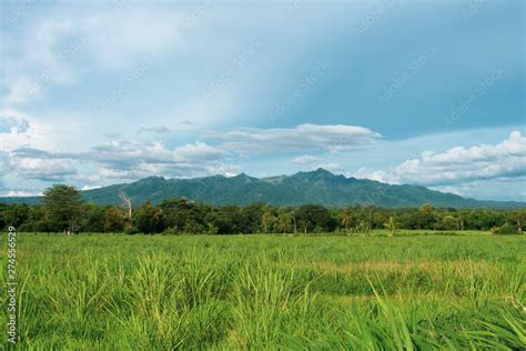 plains in the philippines|Philippines .